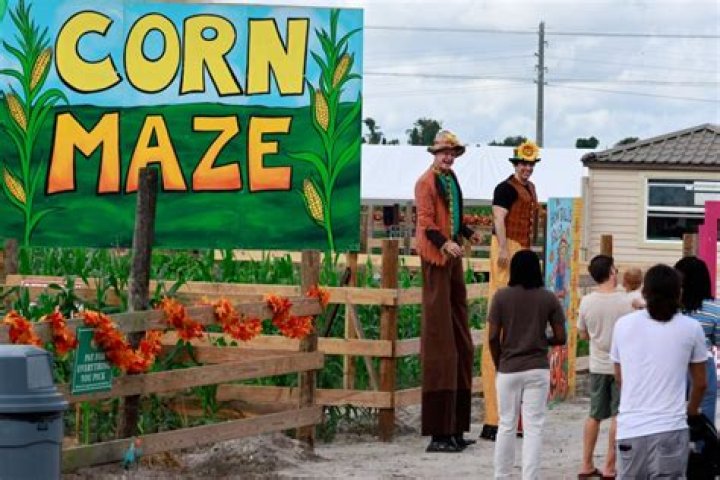 🍁 Fall Festival | Macaroni KID Boynton Beach