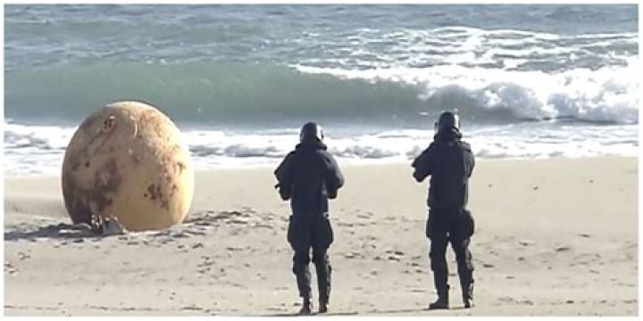 
“Junji ito vibe otw”: Mysterious ball washes over Japan beach and sparks hilarious reactions online 