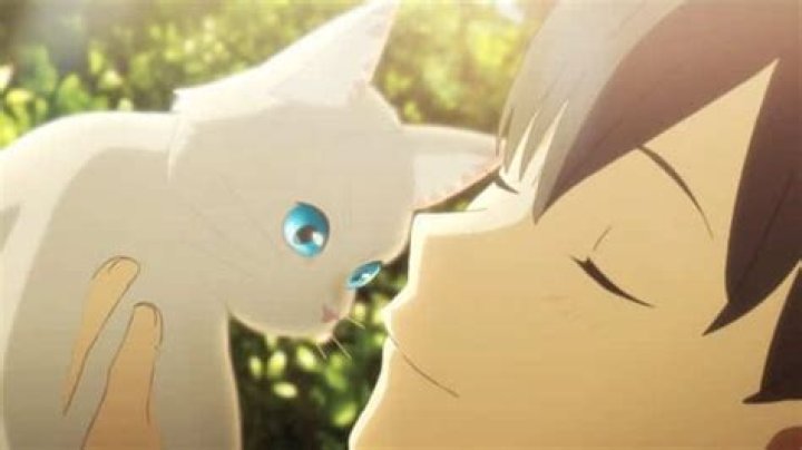 Netflix Original Anime ‘A Whisker Away’: Plot, Cast, Trailer & Netflix Release Date