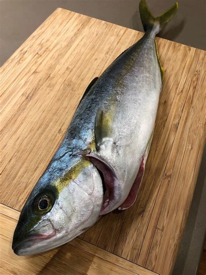 What kind of fish is Hiramasa